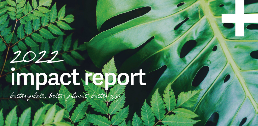 2022 ESG impact report behind plants